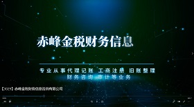赤峰金稅財(cái)務(wù)信息咨詢