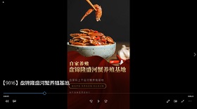 盤錦隆盛河蟹養(yǎng)殖基地